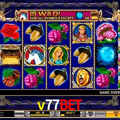 API Integration v77bet